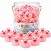 Liberty Imports Bucket of 36 Pcs Classic Rubber Duck Bath Toys | Float and Squirt Duckies for Baby Shower, Birthday Party Favors, Kids Gifts (Pink)