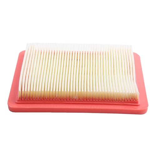 Filtre à air tondeuse résolvant les problèmes de démarrage GCV200 - 2