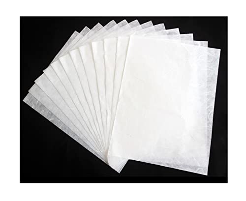 50 feuilles de papier de mûrier pour Origami, loisirs créatifs, fabrication de cartes, découpage sur verre, papier Washi fourni par des fournisseurs japonais
