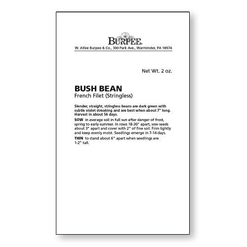 Burpee French Filet Bush Bean Seeds 2 Ounces Of Seed #TOP3