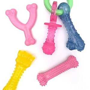 Nylabone New Puppy Chew Toy Bundle, Toys for Teething Puppies, Chicken & Bacon Flavors, Pink, X-Small – Up to 15 lbs, 4 Pack