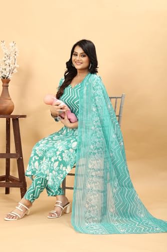 Image of SKY FAB Womens Nuring Tunic