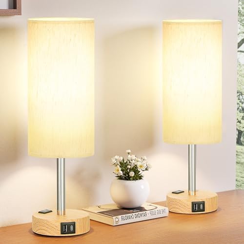 Fenmzee Bedside Table Lamp Set of 2 - Dimmable Touch, USB A+C, AC...