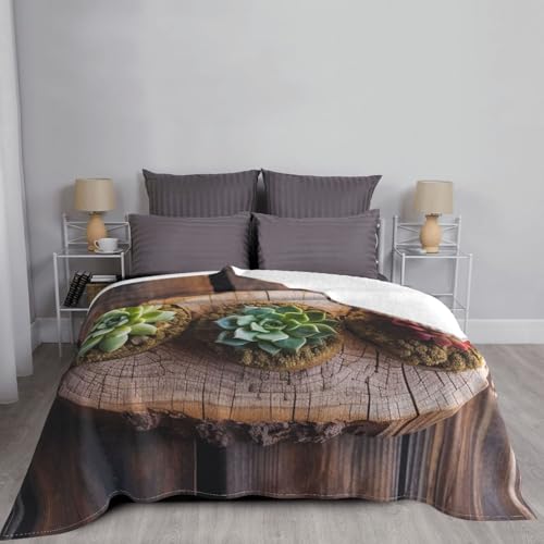 Couverture microfibre douce pour vos soirées cocooning sur le canapé - 7