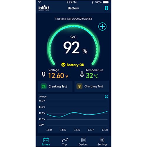 Battery-Guard Bluetooth-accubewaking via app, voor gebruik in de auto, motorfiets of camper, geschikt voor 6 V, 12 V en… - Afbeelding 8