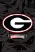 (24x36) University of Georgia (Logo) NCAA Sports Poster Print