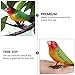 ibasenice Birds Figures Bird Toys Miniature Figurines, Tiny Toys Miniature s Parakeet Plush Plastic Parrot Model Outside Outside