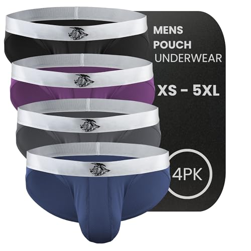 Real Men Nylon Bikini Briefs C Pouch Sm 4pk Blk/Blu/Gry/Wnbry Mens Mesh Underwear With Pouch