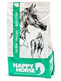 Happy Horse