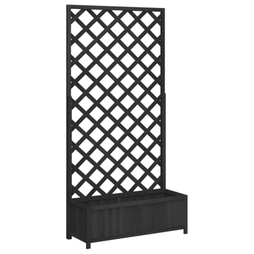 vidaXL Jardinera con Enrejado, Macetero para Plantas Trepadoras, Maceta para Flores, Arriate para Jardín Balcón, Madera Maciza de Abeto Negro