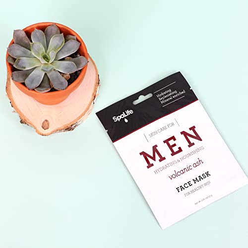 Spalife Hydrating, Purifying, Anti-Aging, Detoxifying And Soothing Korean Beauty Facial Masks (10 Masks (Men's Volcanic Ash)) #TOP1