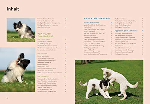 Wenn der Welpe zum halbstarken Hund wird: Gelassen durch die Hunde-Pubertät (überarbeitete und aktualisierte Neuausgabe) (GU Welpen)
