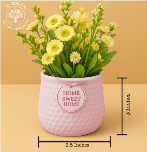 Image of Yo Green Ceramic Plant Pot for Indoor & Outdoor, Modern Planter for Home & Office Decor, Durable, Stylish Finish, Ideal for Tabletop, Shelf, Balcony, Great Gift Idea (Pink, 3 Inches)
