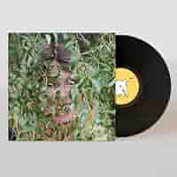 米、加LP Rosali Bite Down MRG824 Merge Records /00260 Bite Down - Merge Records - Shop Vinyl, Merch, Music and More