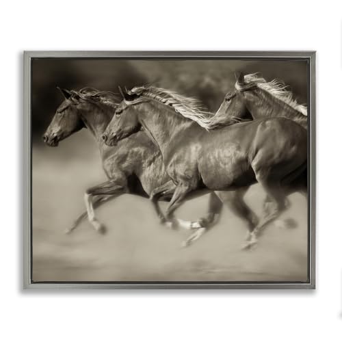 Galloping Horse Herd Photography, 24 x 30 Inch Canvas in Floater Frame