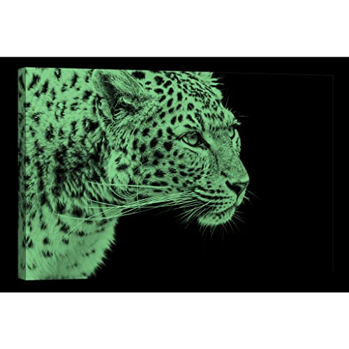 Tableau canvas animals DCA085-2 phosphorescent 80x120 cm - 2