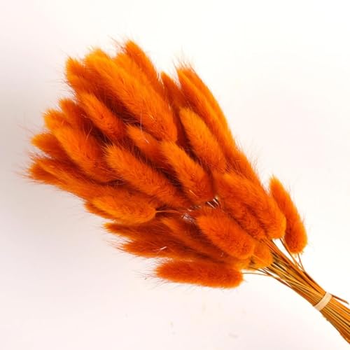 Flores secas Bunny Tails 60 piezas 45 cm decoración natural miniatura 1