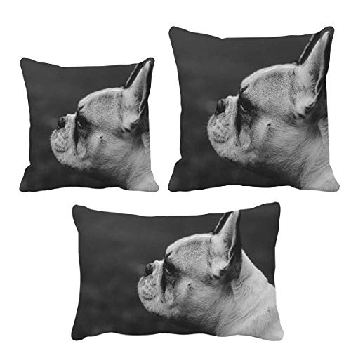 Housse de coussin gris pour animal domestique anti-poils et facile à laver - 2