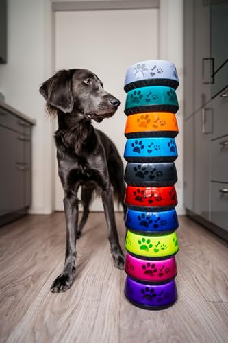 Hundenapf für Kleine und Große Hunde - Futternapf/Trinknapf S/M/L Rutschfest (M 1010ml für Mittlere Hunde, Schwarz)