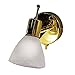Combination Directional Reading Pin Up Light - Brass Finish
