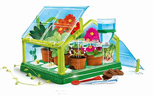 Clementoni 59081 Galileo Science – Experimentieren im Gewächshaus, Pflanzkasten & Samen für Mini-Gärtner und angehende Botaniker, Spielzeug für Kinder ab 7 Jahren - 4