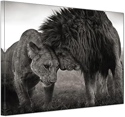 Modern Lion Lioness Black and White Pictures Office Bedroom Wall Art MInimalist Animal Couple Artwork Framed Canvas Painting Print for Home Bathroom Kitchen Décor Ready to Hang 12x16inch