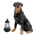 Notakia Resin Dog Rottweiler Statues and Sculptures with Solar Led Home Garden Decoration Windproof Lamp Outdoor Lighting Decor (Rottweiler &LED)