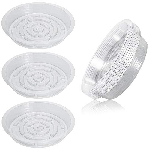 Lucywey Lucy WEI 10 Pcs Platillos Transparentes para Plantas, Platos de Jardín para Macetas para Plantas Interior y Exterior - 21cm Platillos de Redondo Cover