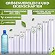 Bachwerke 3er Set Vakuumierbeutel,Vakuumierfolie,Folienrollen,Vakuumbeutel Lebensmittel, Vakumierfolienrollen,Einschweissbeutel,BPA Frei,Folienbeutel für Vakuumiergerät (20cm+25cm+28cmX 300cm)