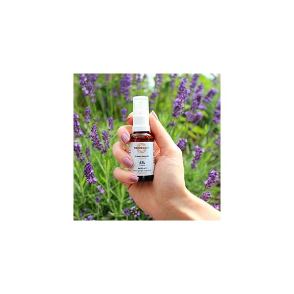 GOLDECO Propolis Halsspray 6% - 30ml Propolis Spray, Halsspray mit SprÃ¼hkopf, 100% natÃ¼rlich direkt vom Imker, standardisierte QualitÃ¤t, fairer Handel – Bild 3