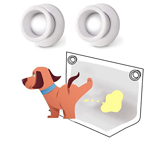 Why Do Dogs Mark Inside The House