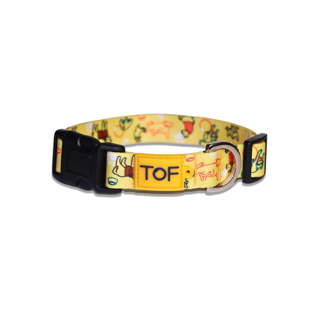Tales of Fur Its Play Time! Plastic Buckle Collar with Metal D-Ring (Small) (B0CG6NCJH1) Amazon Price History, Amazon Price Tracker