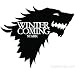 Game of Thrones House Stark Wolf Vinyl Sticker Decal HBO Winter Is Coming (5.5" inches (Black)