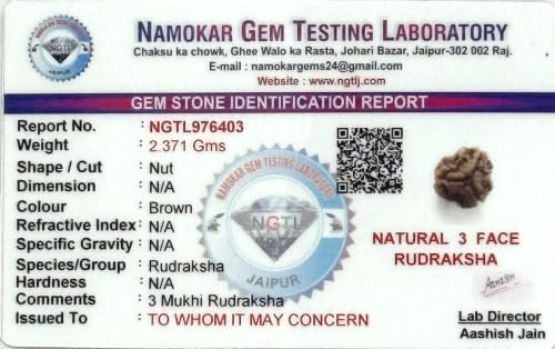 Image of Siddha 3 / Three Mukhi Pure Rudraksha from Nepal, Laboratory Certified.