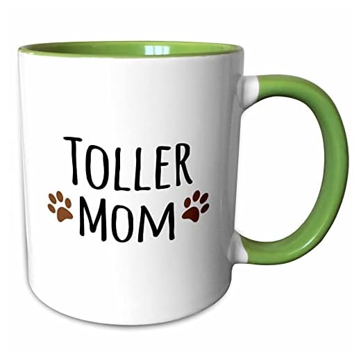 3dRose Toller Dog Mom - Nova Scotia Duck Tolling Retriever - Doggie by breed - brown paw prints doggy mama 11oz Two-Tone Green Mug