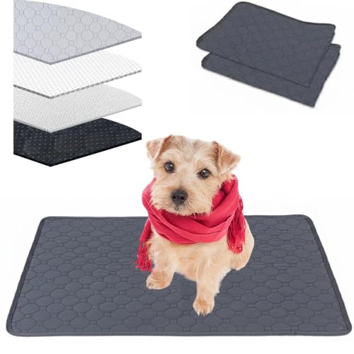 Lifetips m[tH[NeAiNorfolk Terrierj 􂦂ybgV[c ybgV[c 􂦂 2Zbg ~ V[cCh V[g L ۂƐ􂦂 ~}bg ld\ Rh~  ~ ^ ^  