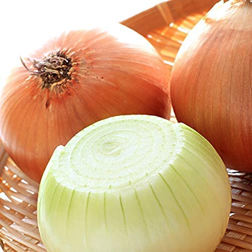 Amazon.co.jp: 北海道産 新玉 玉ねぎ 黄玉葱 10kg (JA共撰/M-Lサイズ