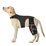 Pawfun Dog Knee Brace for Torn ACL Hind Leg, Dog Leg Braces for Back Leg Support with 4 Metal Stabilizers Helps with Torn CCL, Luxating Patella, Ligament Injuries, Hip Dysplasia,L