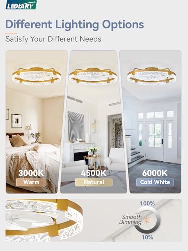 Image of LEDIARY 2-Pack 24 inch Ceiling Fans with Lights, APP & Remote, Gold
