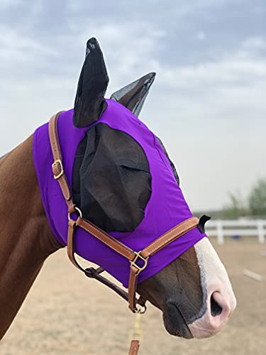 Tgw Riding Horse Fly Mask Super Comfort Horse Fly Mask Elasticity Fly Mask With Ears We Only Make Products That Horses Like (Dk Purple, L) #TOP5