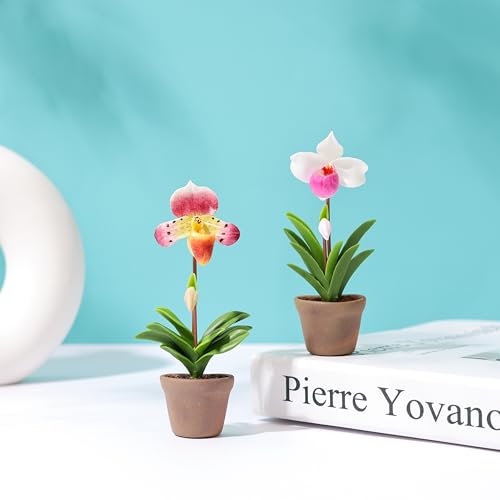 Set de 2 imanes decorativos orquídea Paphiopedilum 3D miniatura 4