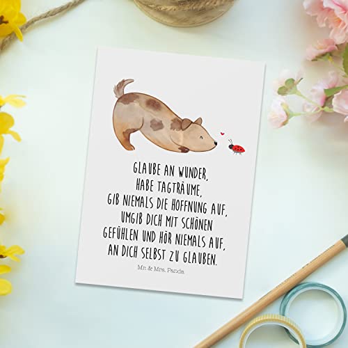 Mr. & Mrs. Panda bildkarte Hund Marienkäfer - Geschenk, Grußkarte, Mischlingshund, Ansichtskarten, Sprüche, Postkarte, Postkarten, Hoffnung, Kunstkarten, Hoffnungsvoll, Ansichtskarte, Mischlinghund