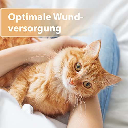 Felisept Wundgel für Katzen 20ml - Wundsalbe für Katzen zur Reinigung und Pflege von Wundbereichen - Wundpflege Katze - Wundschutz Katze für bessere Regeneration