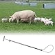 Msiud Edelstahl Schweinefangstange, Hundefangstange Aus Verstellbare Länge Hunde Fangstange Schweine Tierkontrollstange Schweinehalter Schweinefangstange Tierhalter Fangwerkzeug 67 cm