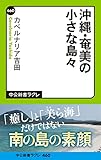 沖縄・奄美の小さな島々 (中公新書ラクレ)