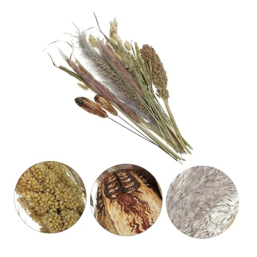 Ramo de flores secas natural pampas y broomcorn miniatura 2