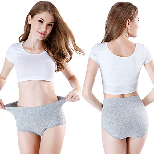 Image of wirarpa Women's Modal Underwear Soft High Waist Briefs Ladies Panties 4 Pack (Regular & Plus Size)