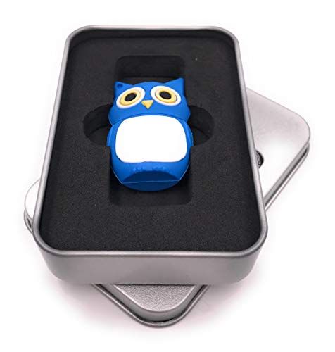 Clé USB 3.0 chouette 128 Go : une idée cadeau originale dans son écrin bleu