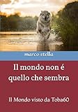  Il mondo non é quello che sembra: Il Mondo visto da Toba60