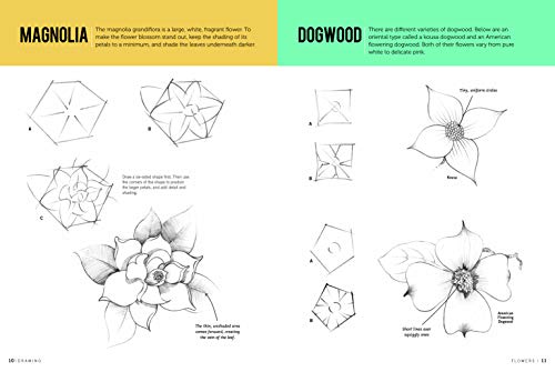 Drawing: Flowers with William F. Powell: Learn to Draw Step by Step